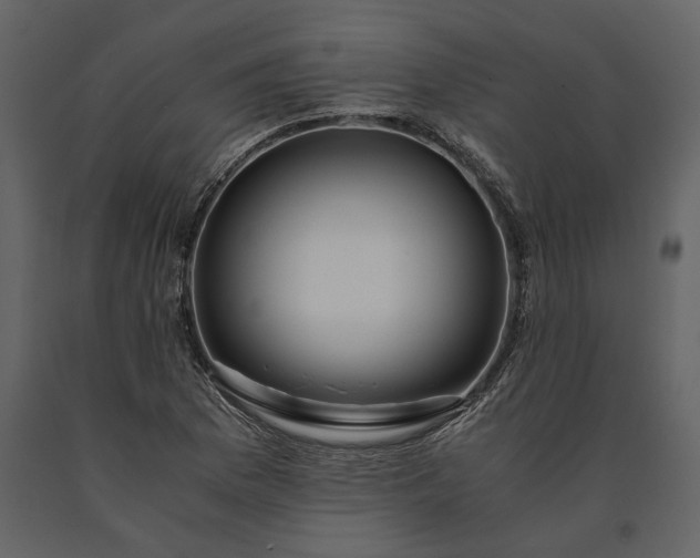 X0000091181169200708231522