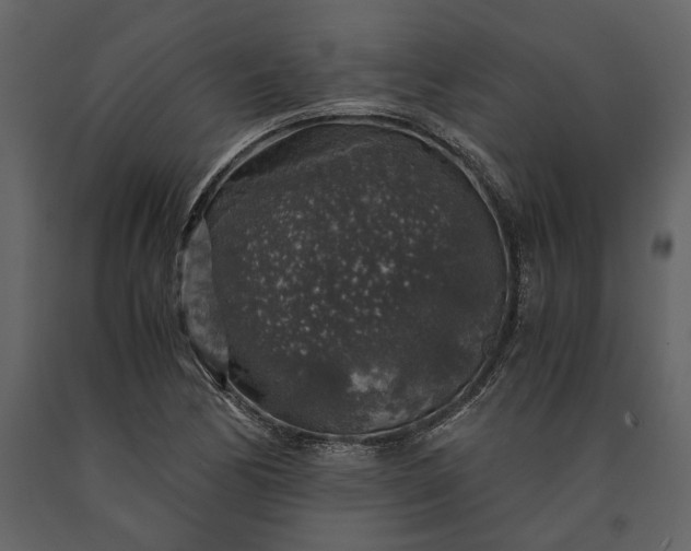 X0000091181170200708231522