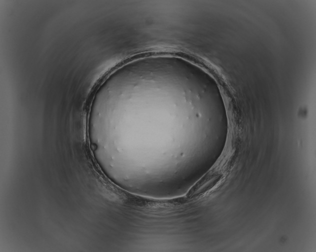 X0000091181171200708231522