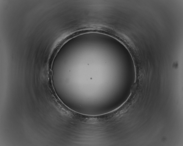 X0000091181172200708231522
