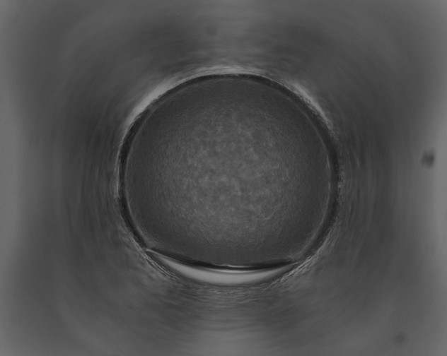 X0000091181173200708231522