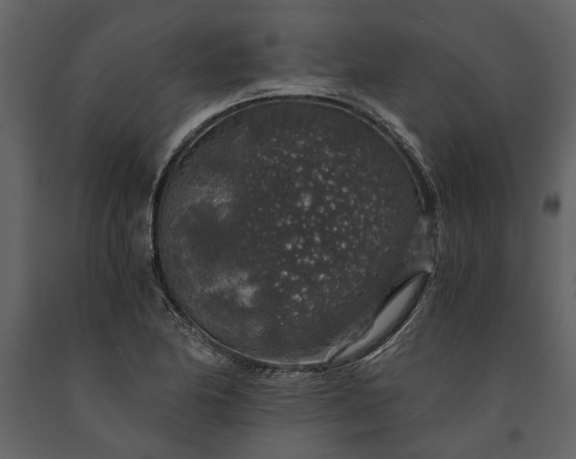 X0000091181174200708231522