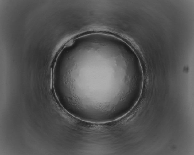 X0000091181175200708231522