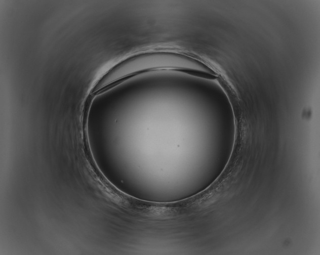 X0000091181176200708231522