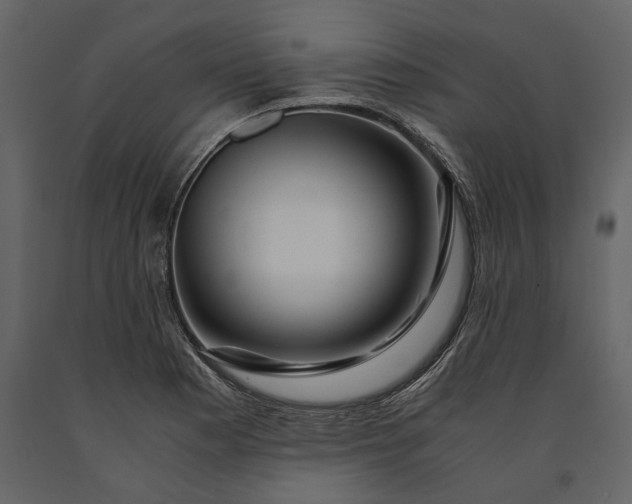 X0000091181177200708231522