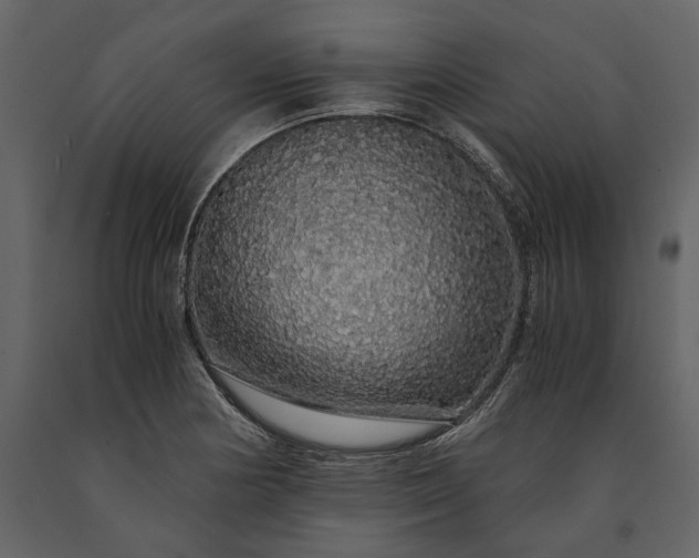 X0000091181178200708231522