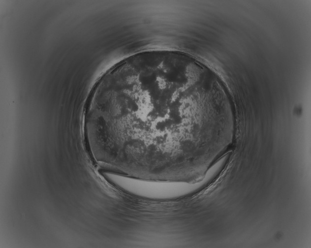 X0000091181179200708231522