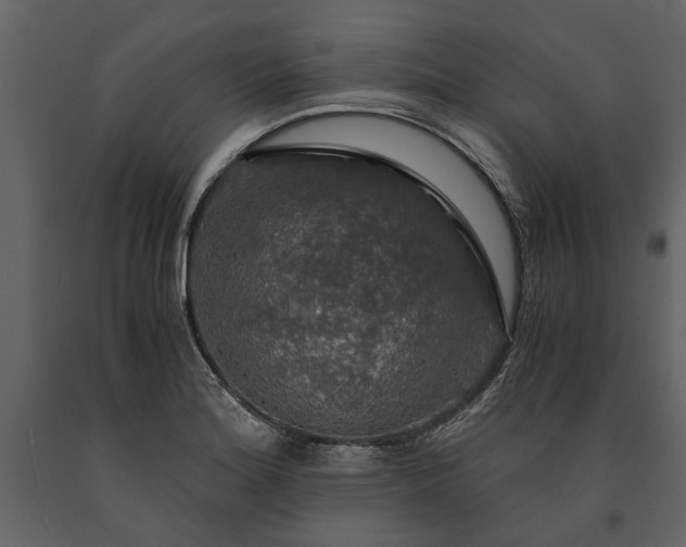 X0000091181180200708231522