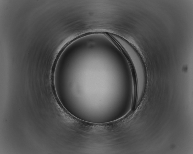 X0000091181181200708231522