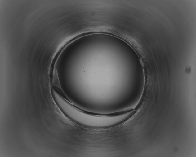 X0000091181184200708231522