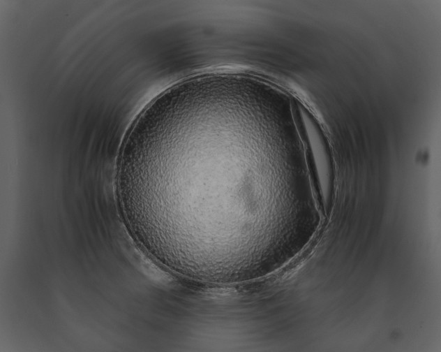 X0000091181186200708231522