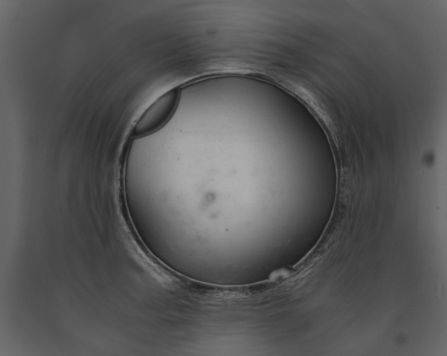 X0000091181187200708231522