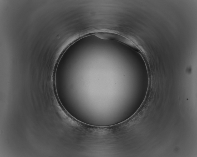 X0000091181189200708231522