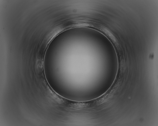 X0000091181193200708231522