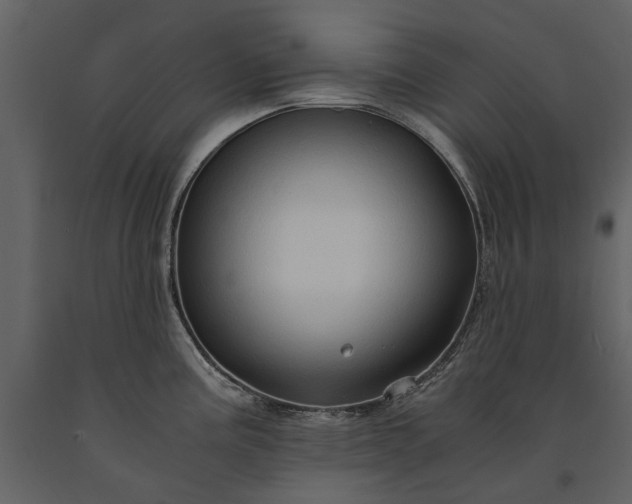 X0000091181195200708231522