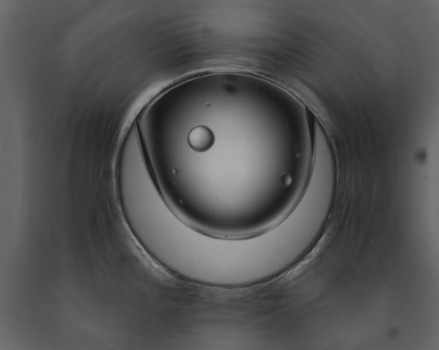 X0000091181196200708231522