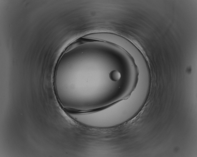 X0000091181197200708231522