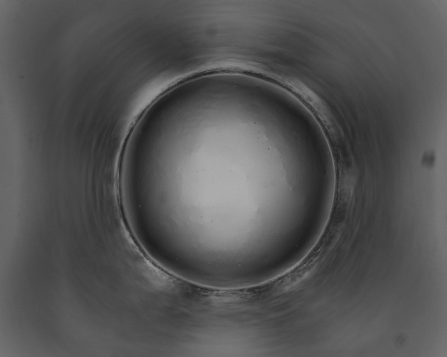 X0000091181199200708231521
