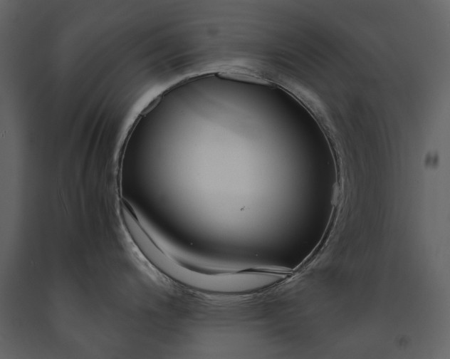 X0000091181200200708231521