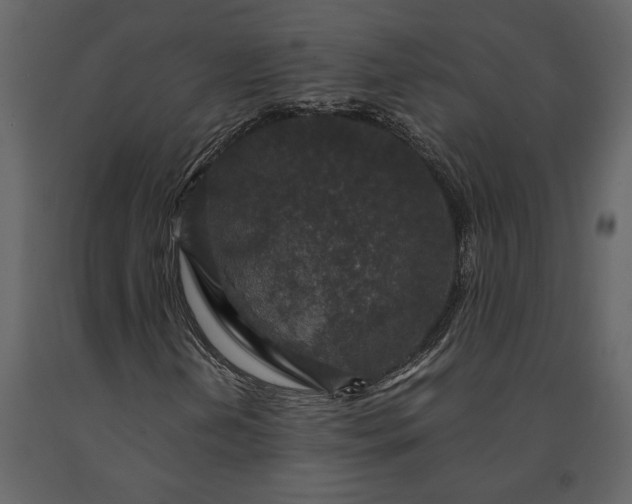 X0000091181202200708231521