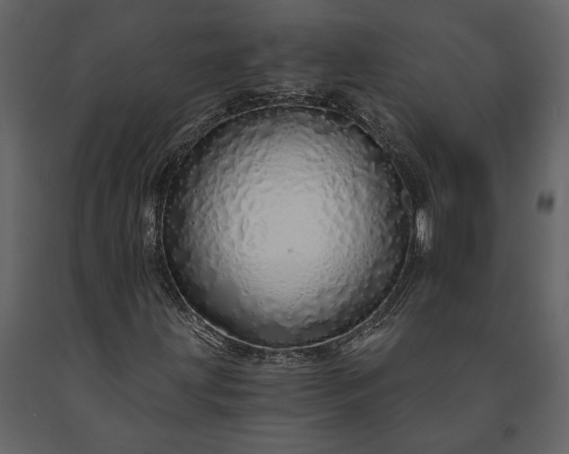 X0000091181203200708231521