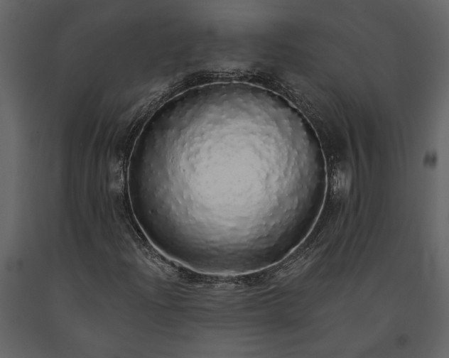 X0000091181204200708231521