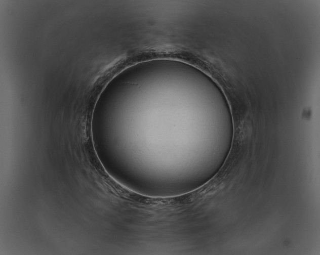 X0000091181205200708231521