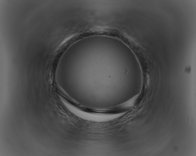 X0000091181206200708231521