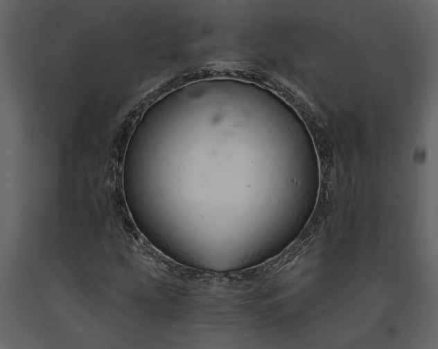 X0000091181207200708231521