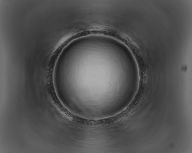 X0000091181208200708231521
