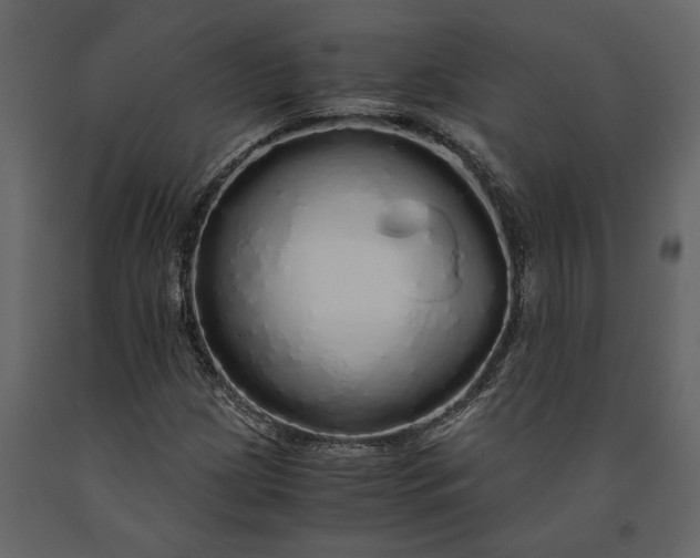 X0000091181209200708231521