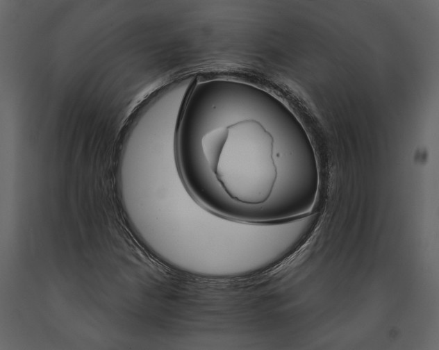 X0000091181210200708231521