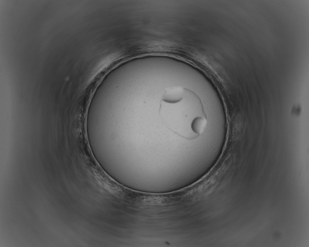 X0000091181211200708231521