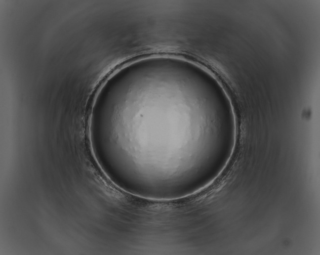 X0000091181212200708231521