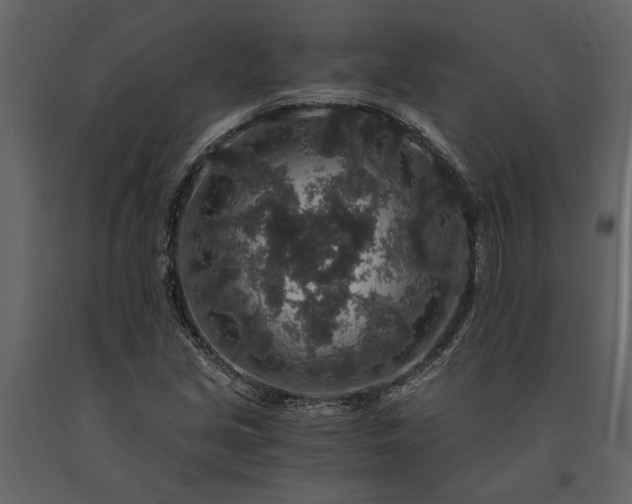 X0000091181213200708231521