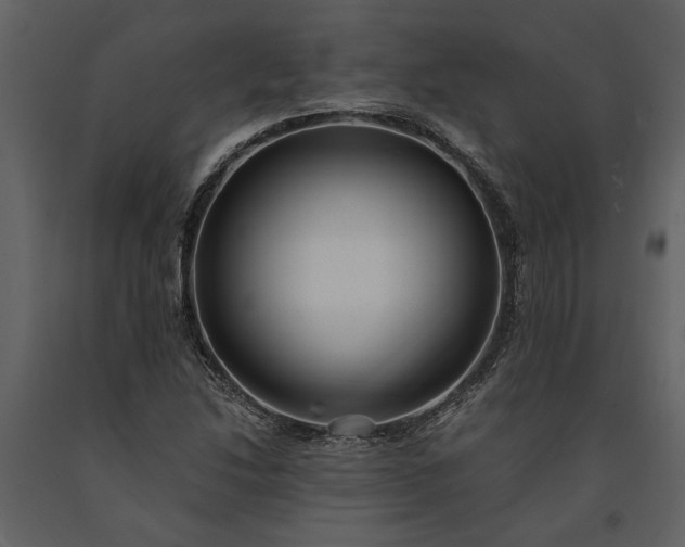 X0000091181214200708231521