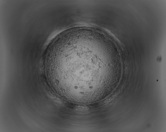 X0000091181215200708231521