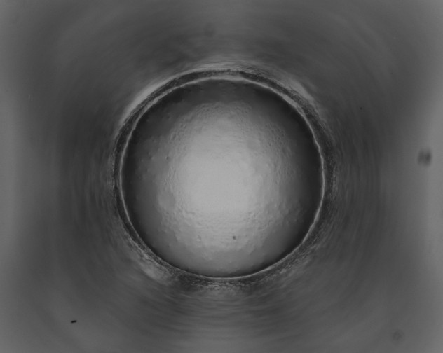 X0000091181216200708231521