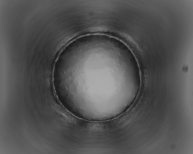 X0000091181217200708231521
