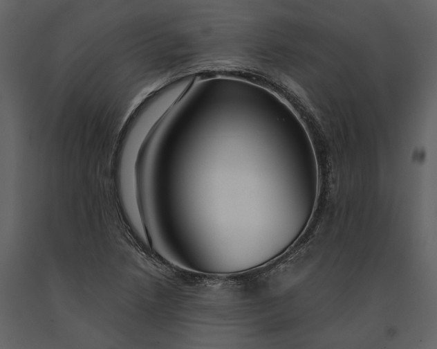 X0000091181218200708231521