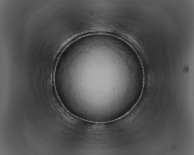 X0000091181220200708231521