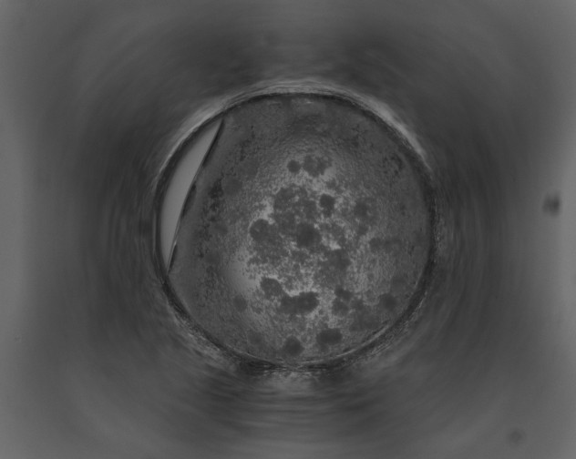 X0000091181221200708231521