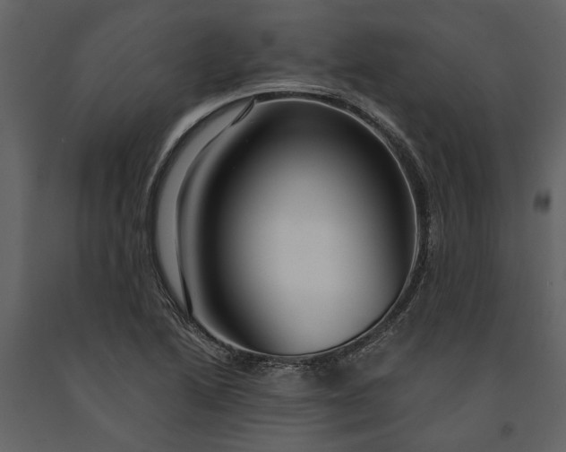 X0000091181222200708231521