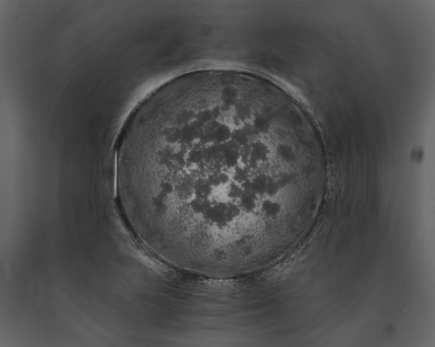 X0000091181223200708231521