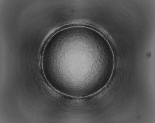 X0000091181224200708231521