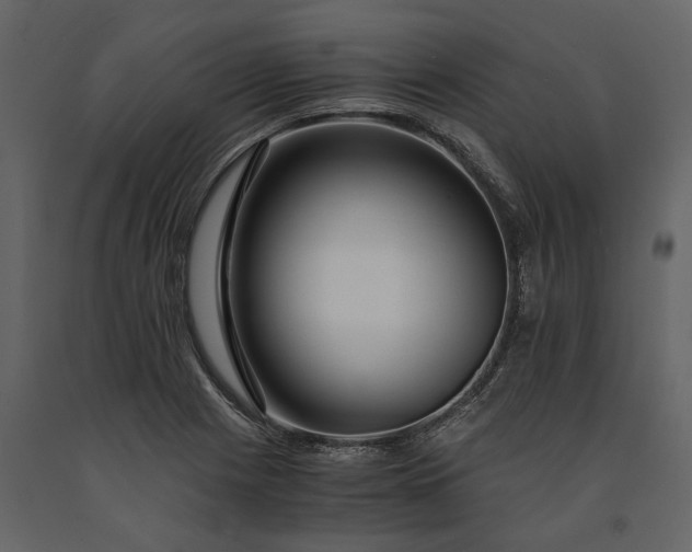 X0000091181225200708231521