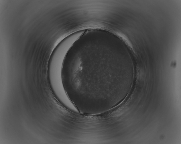 X0000091181226200708231521