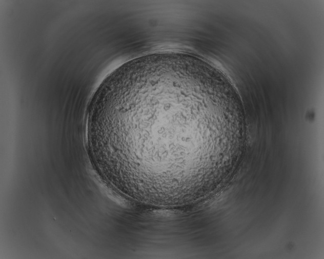 X0000091181227200708231521