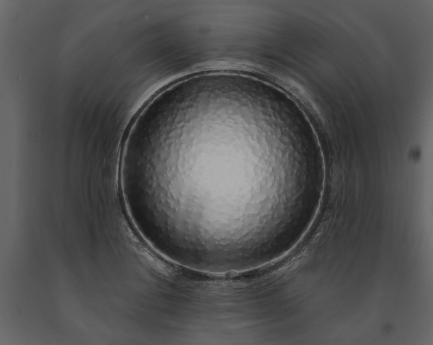 X0000091181228200708231521