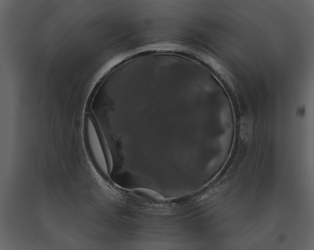 X0000091181229200708231521